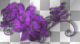 PURPLE FLOWERS ©dK