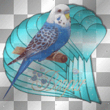 jolie oiseau p