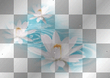 LATO SUMMER  TRANSPARENT DECO WATER BLUE FLOWER WHITE
