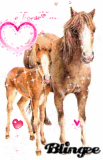 shasha30700 shasha30700