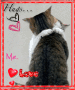 Abrazo gatuno