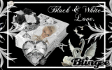 Black and white love holds the key to my heart.