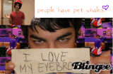 joe jonas is dangerous!