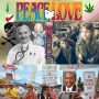 40 YEARS AFTER WOODSTOCK: HEALTH REFORM DIES WHILE AMERICA IS TRIPPIN' ON DEATH PANELS