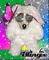 Lil DogggieeXx