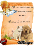 chien et chat