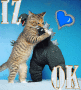 Iz Ok Iz Ok