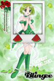 mew mew bridget