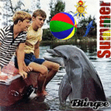 Flipper