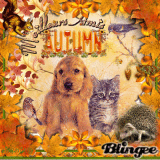 VOICI L AUTOMNE MES AMIS