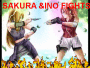 INO AND SAKURA FIGHTS