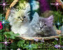 ...<<X gli amianti degli animali>>...