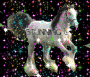 pony