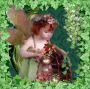 Little Fairy Little Fairy