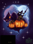 halloween cat halloween cat