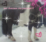 luckihorse
