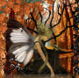 fairy wings & birdy sings
