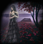Lonely Lady