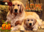 Happy Autumn!