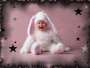 Babytje