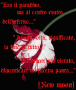 New Moon