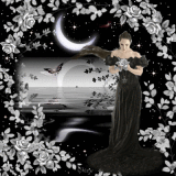 Starlit Night