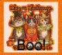 Cats Halloween Cats Halloween