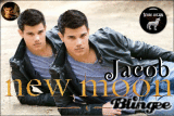 JaCoB >3