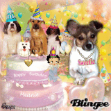 Happy Birthday Meanie!