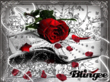 rose in an book