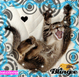 RAWRRR