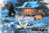 Winter at dusk