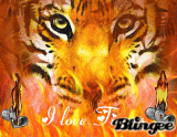 I love Tigers