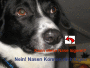 Kann diese Nase lügen?