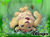 lion