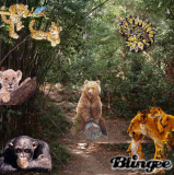 Tiere im Urwald