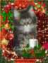 1 Advent 1 Advent