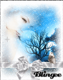 Winter Fairy