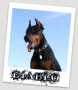 Diablo...