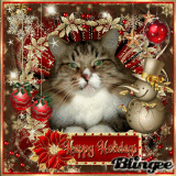  * Happy Holidays *