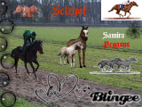 Selzhof