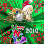 To all my friends Merry Christmas & Happy 2010 New Year!!! To all my friends Merry Christmas & Happy 2010 New Year!!!