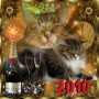 * Happy New Year 2010 *