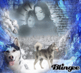 Michael, Janet and Huskys