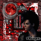 tokio hotel fans rette mich