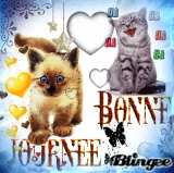 bonjour les chatons bonjour les chatons
