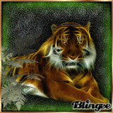 Glowing tiger in the green. 