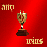 any9wins