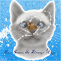 Cat Mouse Love Cat Mouse Love