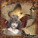 The Butterfly Beauty